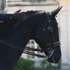 ogłowie-munsztukowe-ujeżdżeniowe-anatomiczne-antares-Origin-dressage-double-bridle (1)